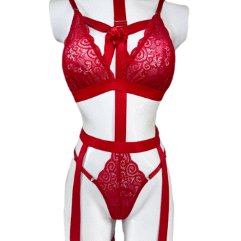 Conjunto arnes rojo
